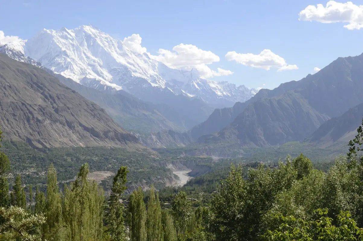 Hunza, June 2016 - Bear Necessities